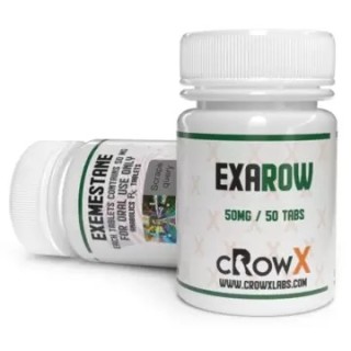 EXAROW cRowX Labs